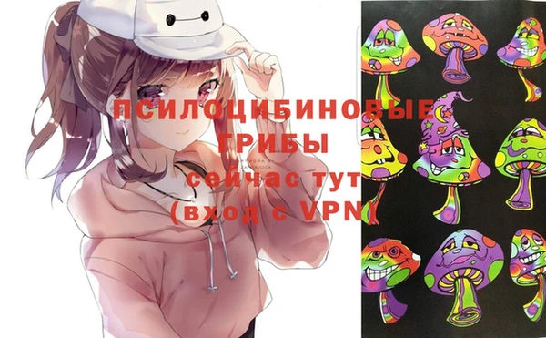 синтетический гашиш Алексеевка