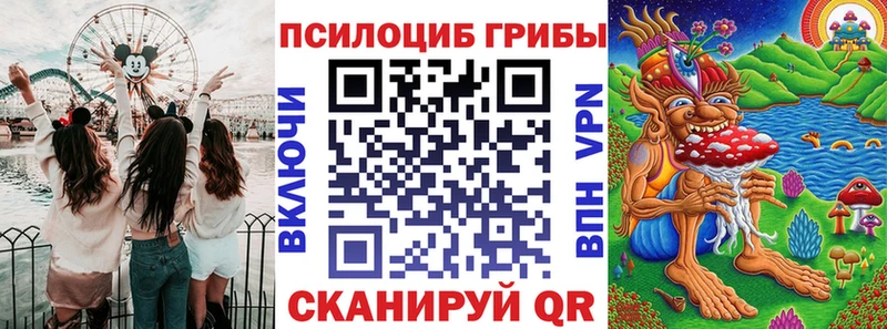 хочу   Лаишево  Псилоцибиновые грибы мицелий 